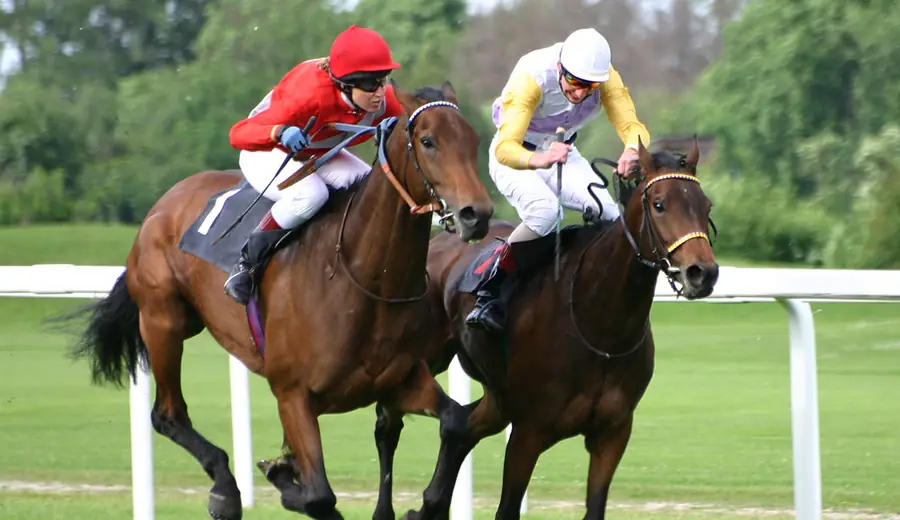 Ascot Gold Cup stávkový sprievodca: Hlavný dostih Royal Meeting