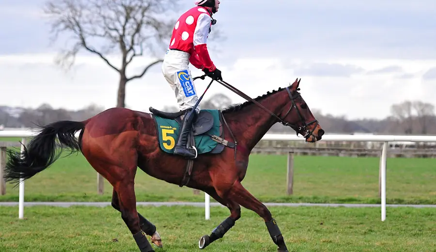 Cheltenham 2026: Expertný stávkový sprievodca najväčším festivalm prekážkových dostihov