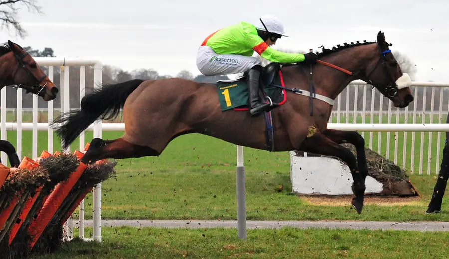 Cheltenham Festival stávkový sprievodca: Ako vyhrať na festivale