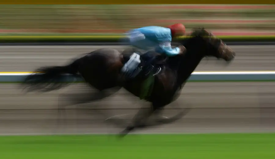 Cheltenham Festival Lay Betting: Identifikácia prestávkovaných favoritov
