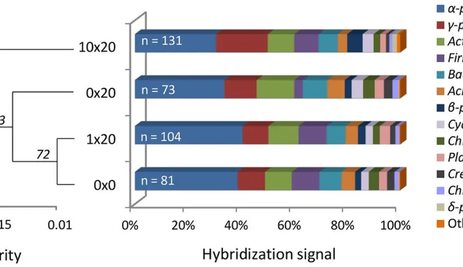 Simulátor variability — Monte Carlo simulácia stávkovej kariéry | Betology